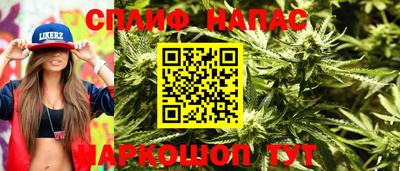 спиды Кандалакша