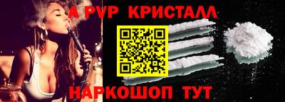 спиды Кандалакша