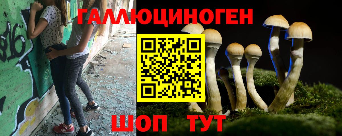 Псилоцибиновые грибы Magic Shrooms  Вход с VPN  Краснокаменск  Псилоцибиновые грибы Magic Shrooms 